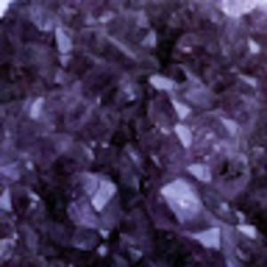 Meet your Posher, Joanne tigris